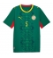Senegal Idrissa Gueye #5 Udebanetrøje VM 2026 Kort ærmer