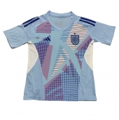 Spanien Målmand Hjemmebanetrøje EM 2024 Kort ærmer