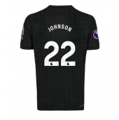 Tottenham Hotspur Brennan Johnson #22 Udebanetrøje 2025-26 Kort ærmer
